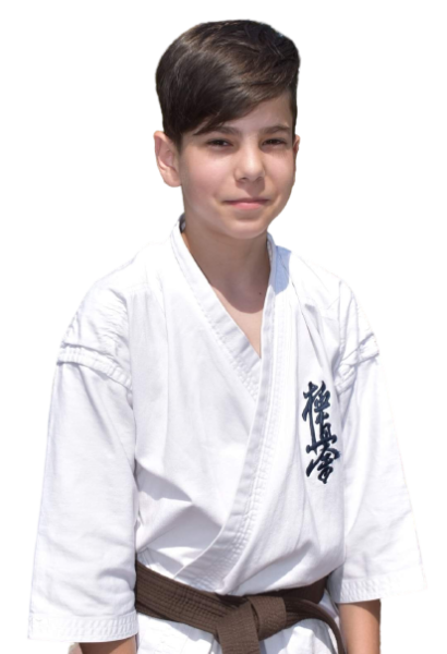 David Andrei Iordache