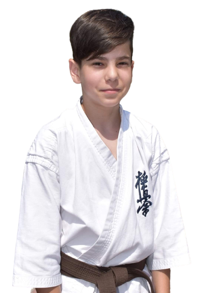 David Andrei Iordache